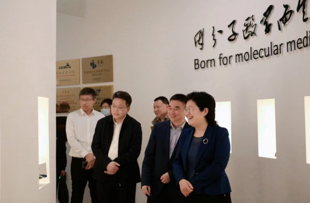 徐州市政府代表团莅临和记AG生物调研指导