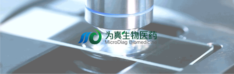 王莹院长领衔，王弢博士技术负责的研发项目获浙江省2024年度“尖兵”“领雁”研发攻关计划项目立项